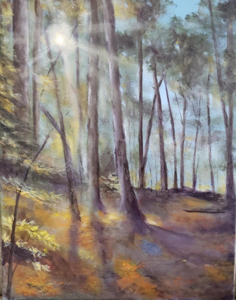 A Walk in the woods by Jim Wieshlow