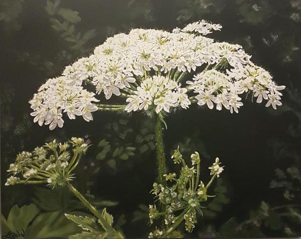 Nature's Lace by Linda Irwin Art