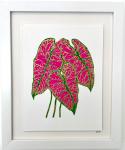 Caladium II