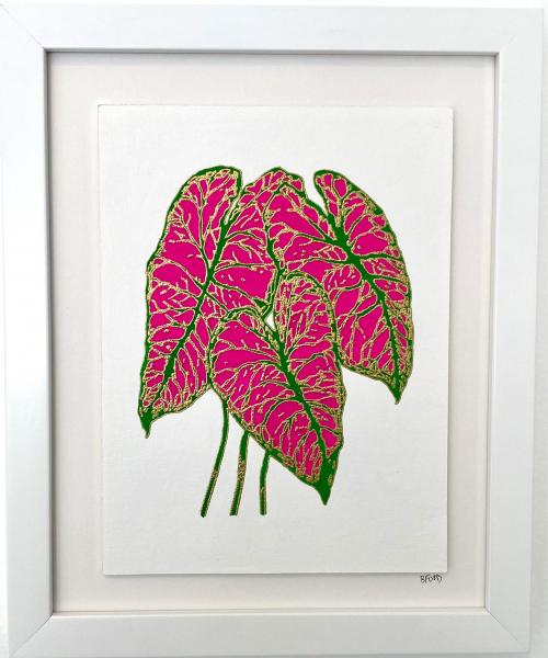 Caladium II