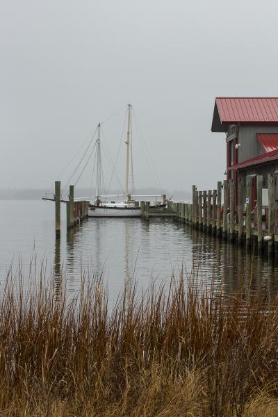 Misty Morning in St Michaels picture