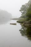 Morning Calm on Ripley Creek