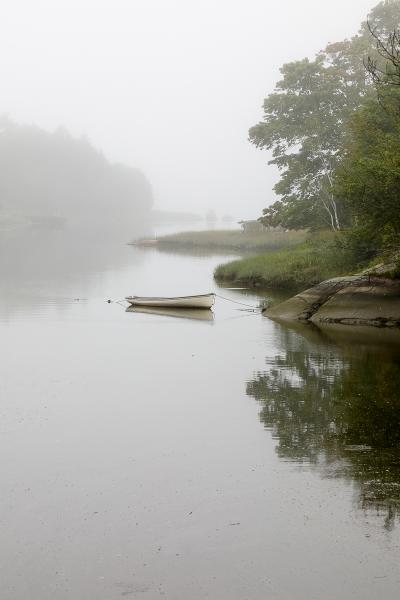 Morning Calm on Ripley Creek picture