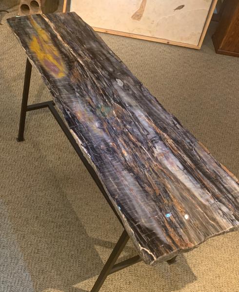 Petrified Wood Table picture