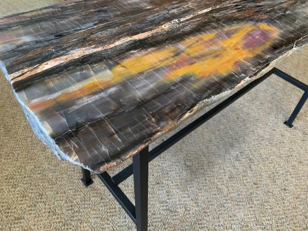 Petrified Wood Table picture