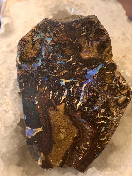 Boulder Opal Mineral Specimen picture