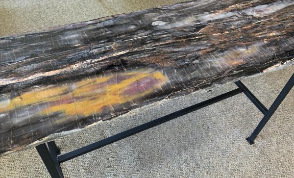 Petrified Wood Table picture