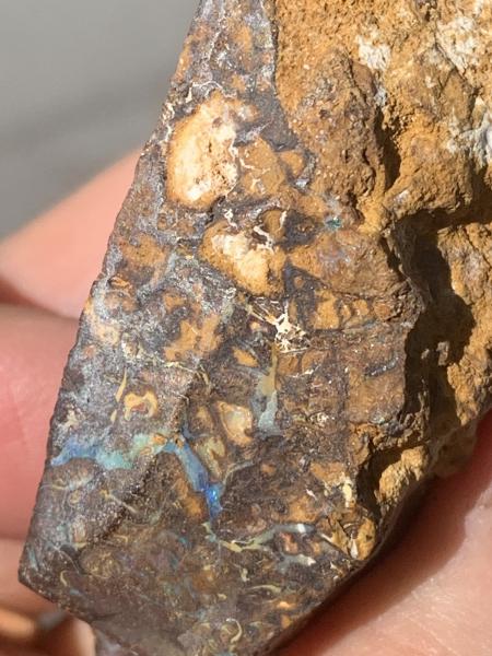 Boulder Opal Mineral Specimen picture