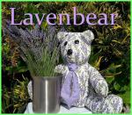 Lavenbear Lavender Products