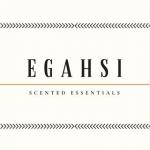 EGAHSI