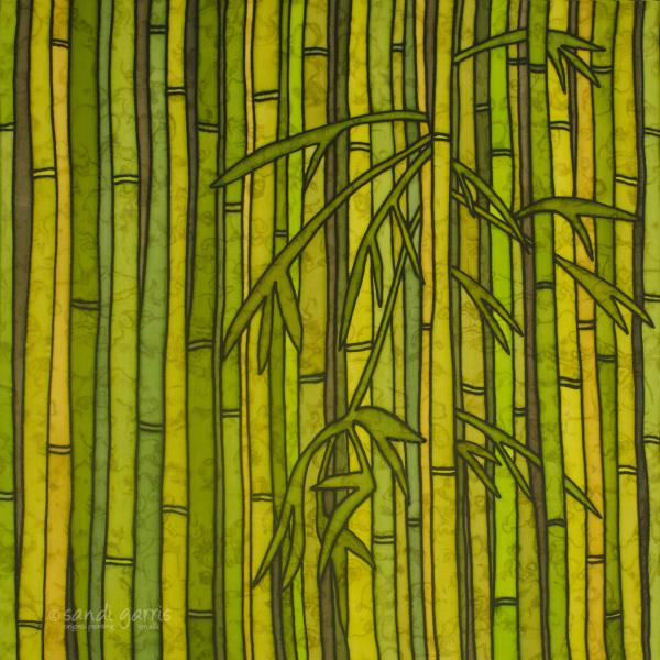 Bamboo Forest picture