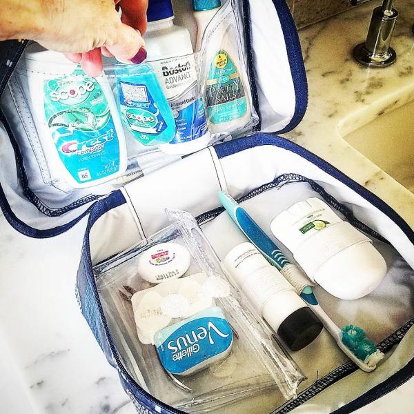 Just In Case Bordeaux Travel Medicine/Toiletry Bag picture