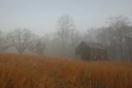 Great Falls - Barn in Fog