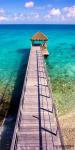 Tropical Pier