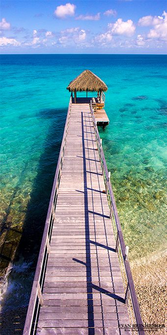 Tropical Pier picture