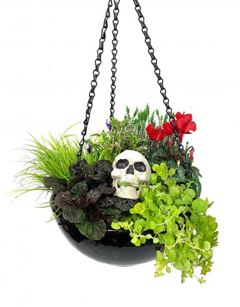 Hanging Garden 38