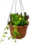 Edible Hanging Garden 1