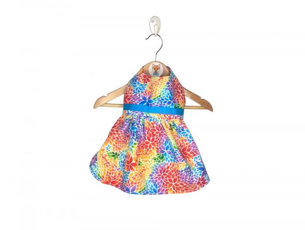 Rainbow Violets and Rainbow Showers Reversible Dog Dress picture