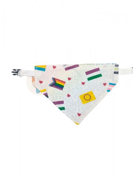 Pride Flags and Rainbow Cheetah Print Reversible Buckle Bandana picture