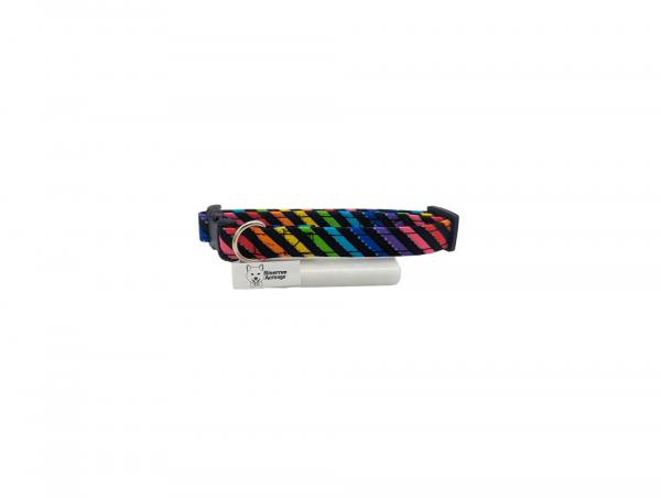 Rainbow Stripe on Dog Collar on Black