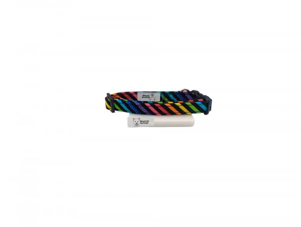 Rainbow Stripe on Dog Collar on Black picture
