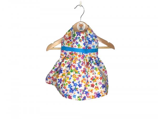 Rainbow Violets and Rainbow Showers Reversible Dog Dress picture