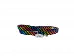 Rainbow Stripe on Black  Leash