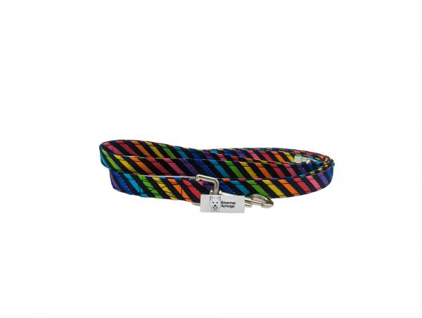 Rainbow Stripe on Black  Leash picture