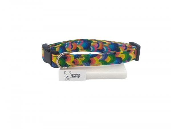 Rainbow Arches Dog Collar picture