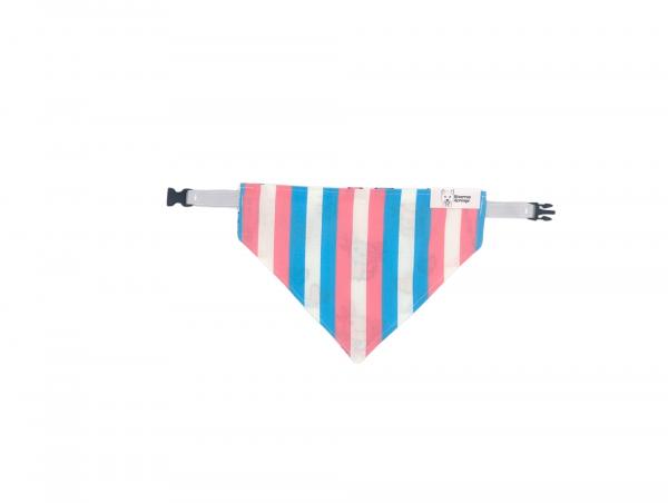 Transgender Axolotls and Transgender Stripe Reversible Buckle Bandana picture