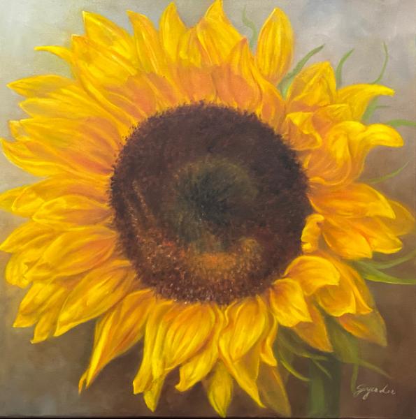 Sunflower Love