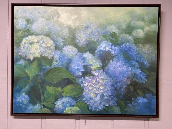 Blue Hydrangeas picture