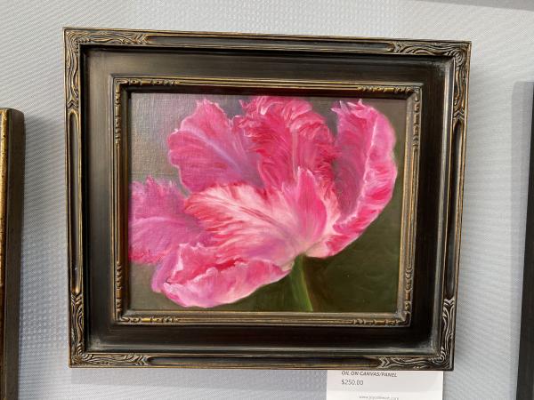 Pink Tulip 1