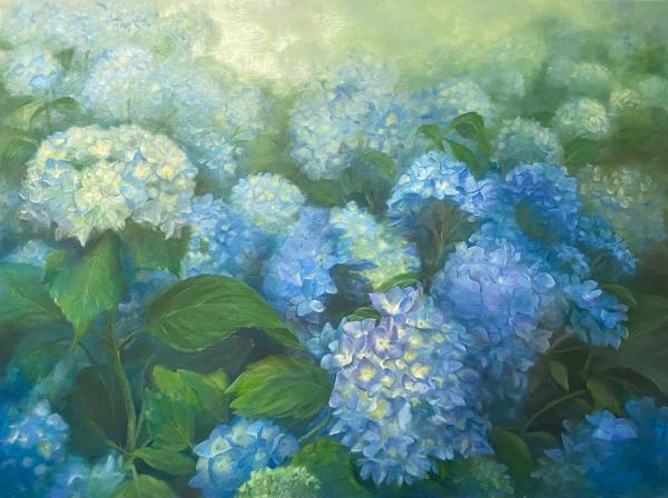 Blue Hydrangeas picture