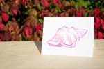 Sally Sells Seashells 4.25"x5.5" blank letterpress note card