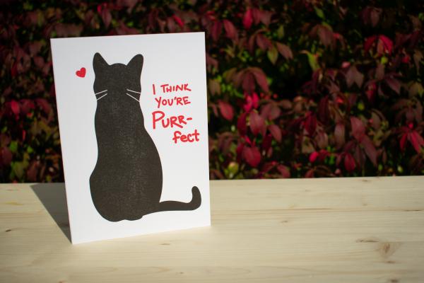 I Think You're Purr-fect 5"x7" blank letterpress greeting card picture