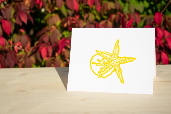 Starfish and Sand Dollar 4.25"x5.5" blank letterpress note card picture