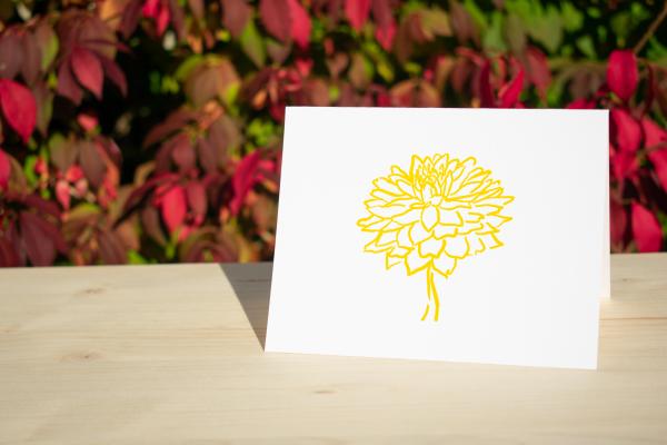 Isn't That Just Dandy 4.25"x5.5" blank letterpress note card picture