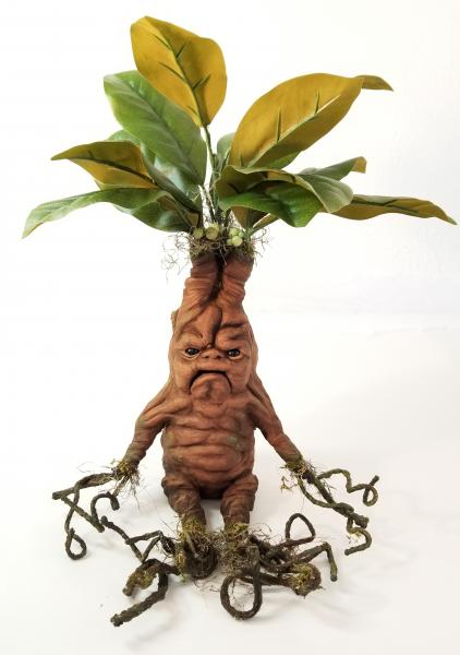 Grouchy Baby Mandrake