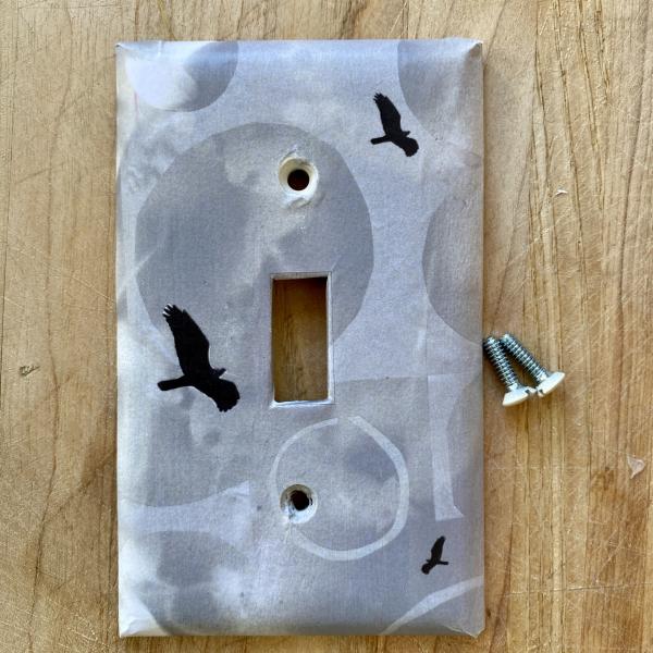 "Thin Air" Switch Plate