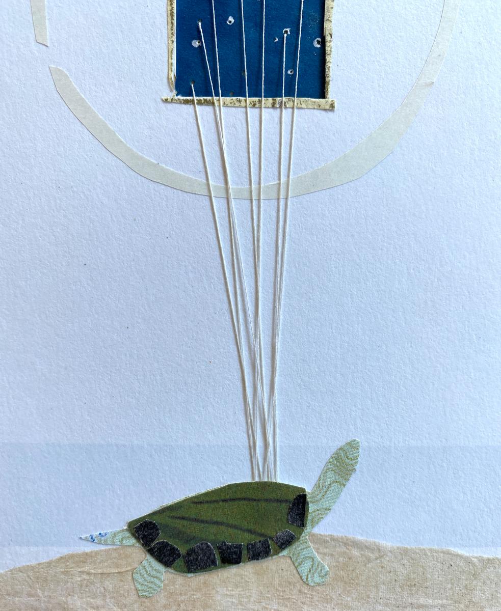 Turtle Dreams picture