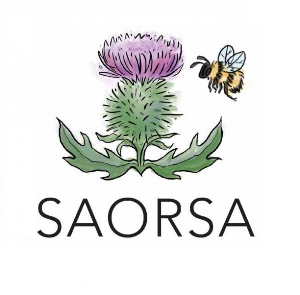 Saorsa LLC