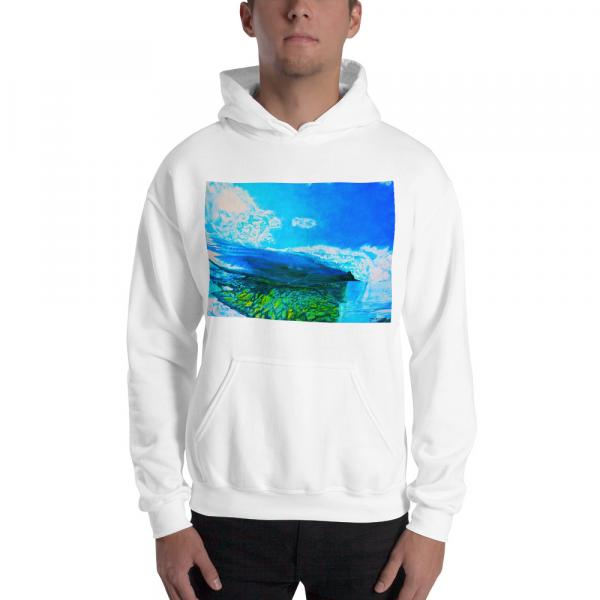 Mens Hoodie-Reef Break picture