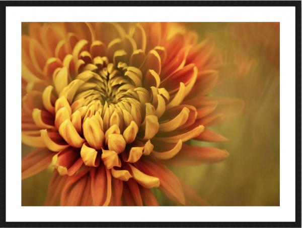 Red and Yellow 2