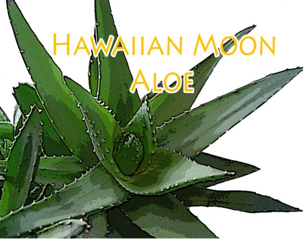 Hawaiian Moon