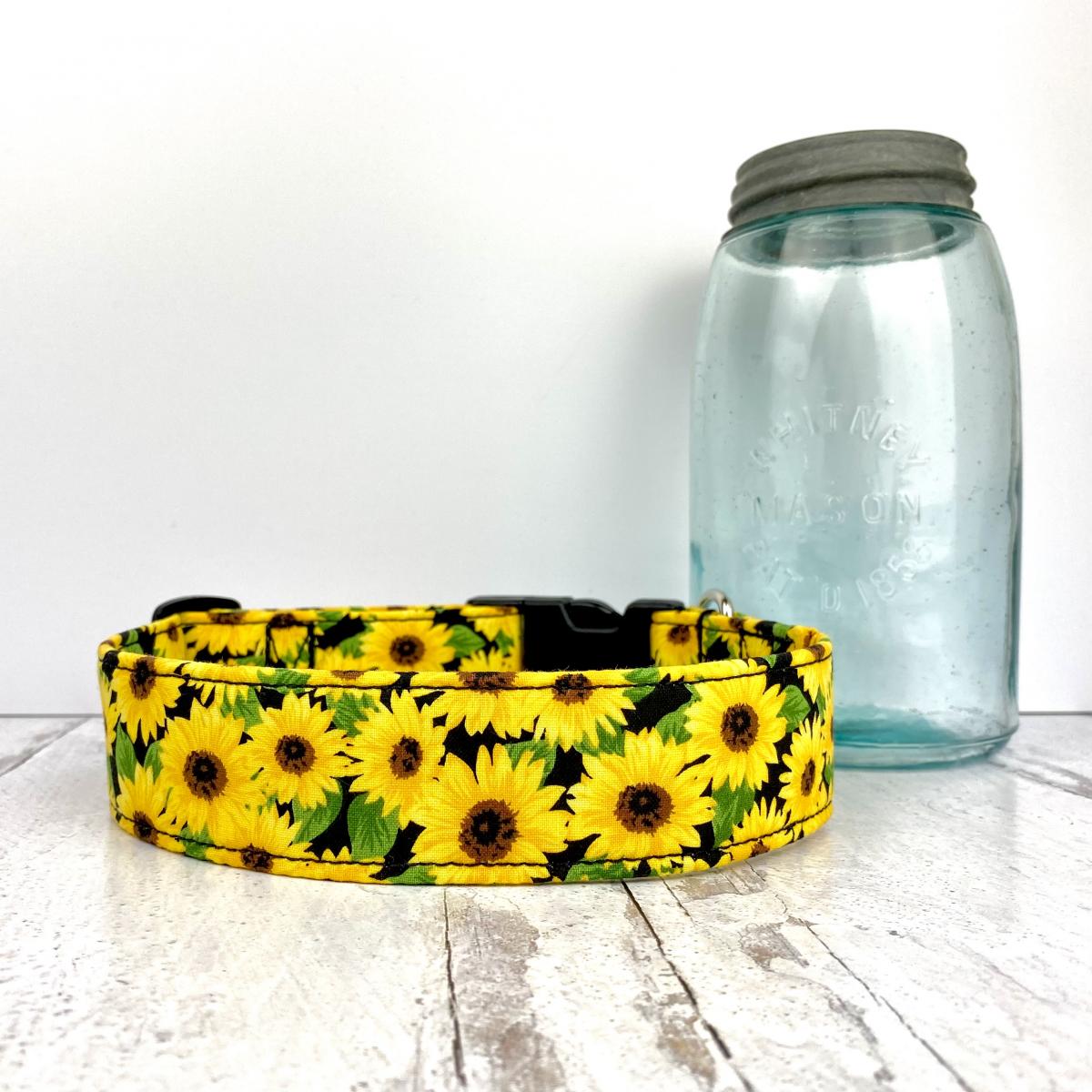 Large Dog Collar picture