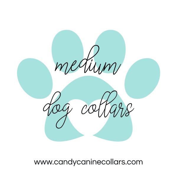 Medium Dog Collar