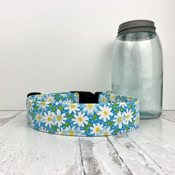 Small Dog Collar picture