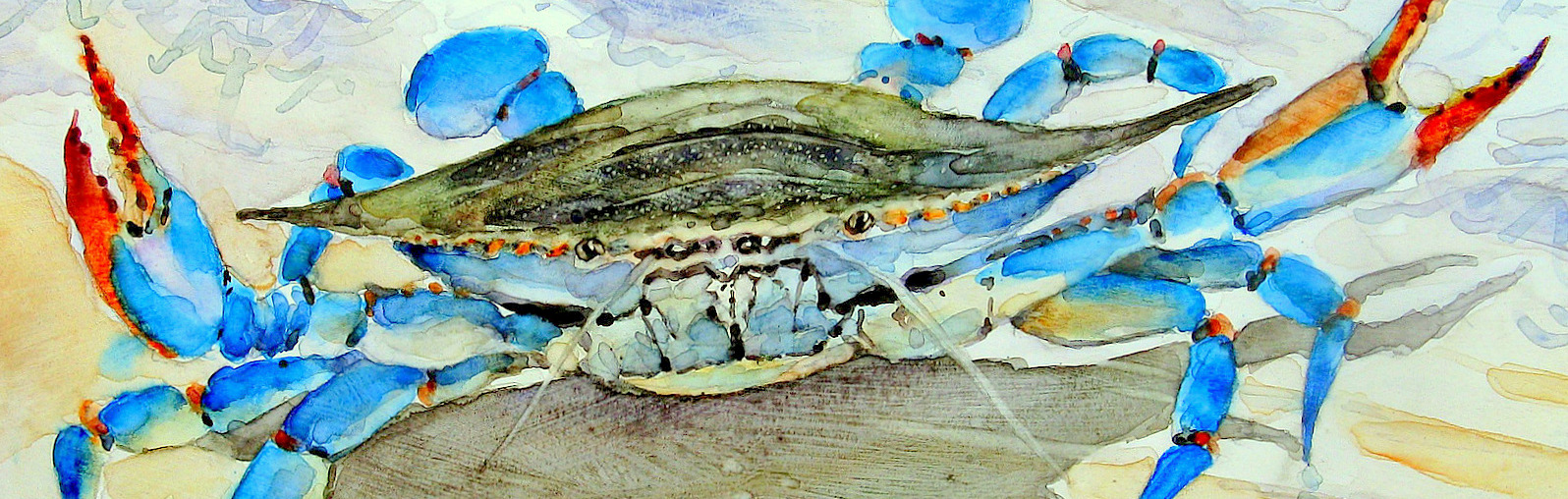 Blue Crab 2 picture