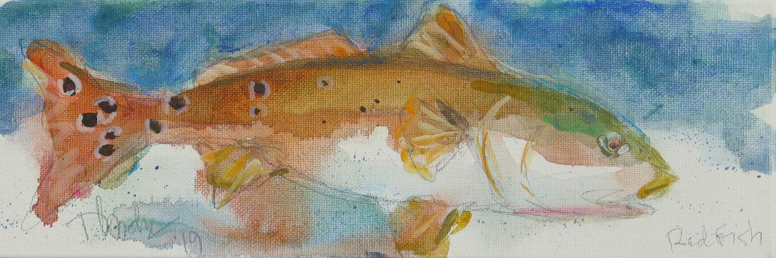 Redfish picture